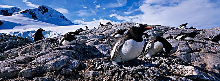 谷歌宣布Gemini 2.0  为玩家实时提供指导