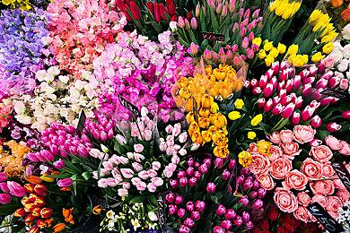 《怪物猎人崛起：曙光》装备展示短片 绯天狗兽套和将军镰蟹套